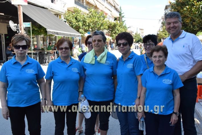 alexandriamou_1_alexandrinos_dromos025